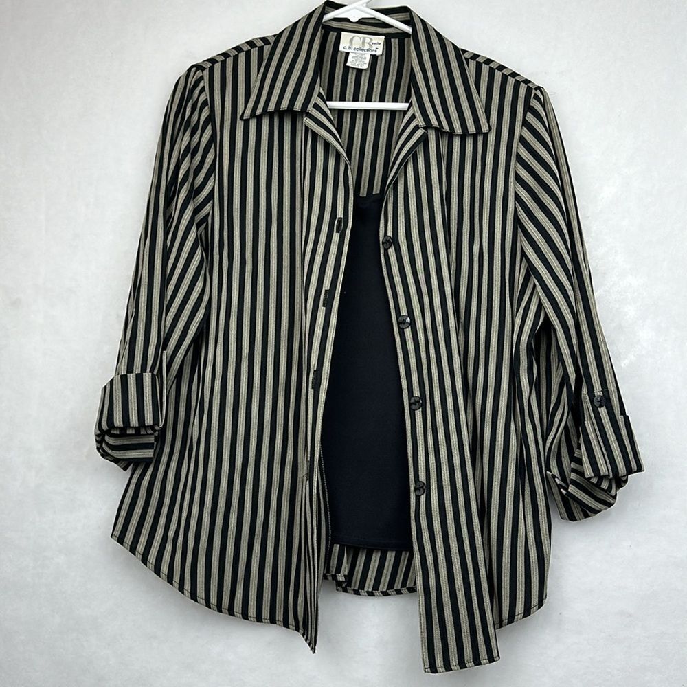 C.B. Collection Blouse Women’s Button Down Shirt 2 in 1 Striped Multi Sz  XLP - Picture 5 of 8